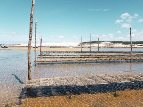 Josephine Lejlighed Arcachon Eksteriør billede